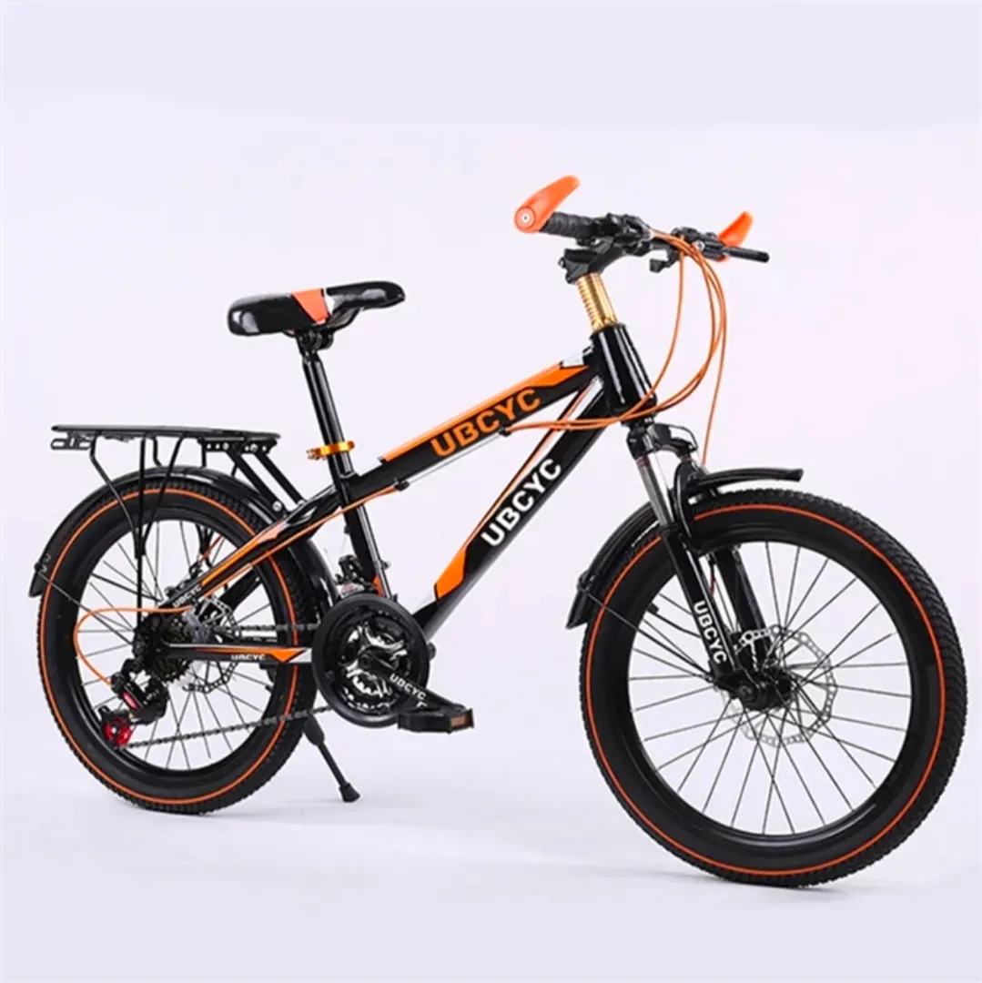 دوچرخه خارجی دنده ای 